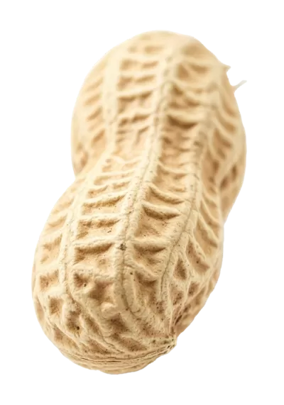 Imagen PNG para descargar